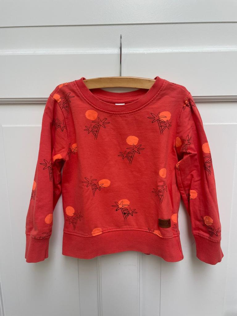 Zomertrui, trui met palmbomen van Zeeman (maat 98), Kinderen en Baby's, Kinderkleding | Maat 98, Ophalen, Gebruikt, Jongen, Trui of Vest