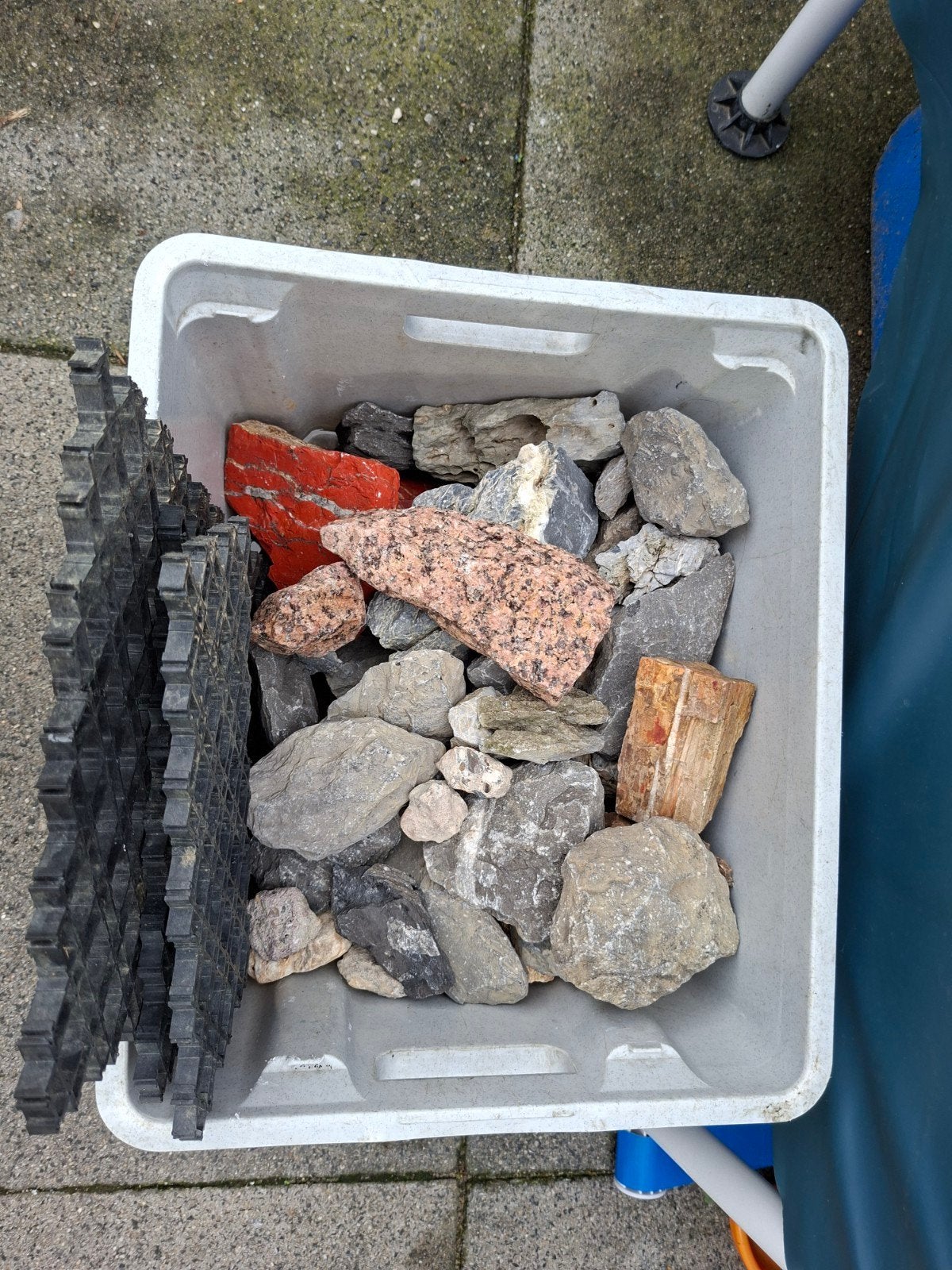 stenen aquarium, Dieren en Toebehoren, Ophalen, Plant(en), Steen of Hout