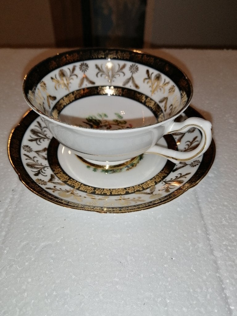 Royal Grafton theekop met Schotel, Ophalen of Verzenden, Zo goed als nieuw, Porselein, Kop en/of schotel