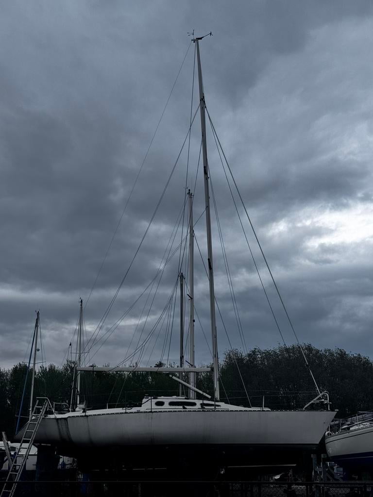 Mast, Watersport en Boten, Zeilen en Zeiltoebehoren, Ophalen, Gebruikt, 6 meter of meer, 30 tot 60 m²