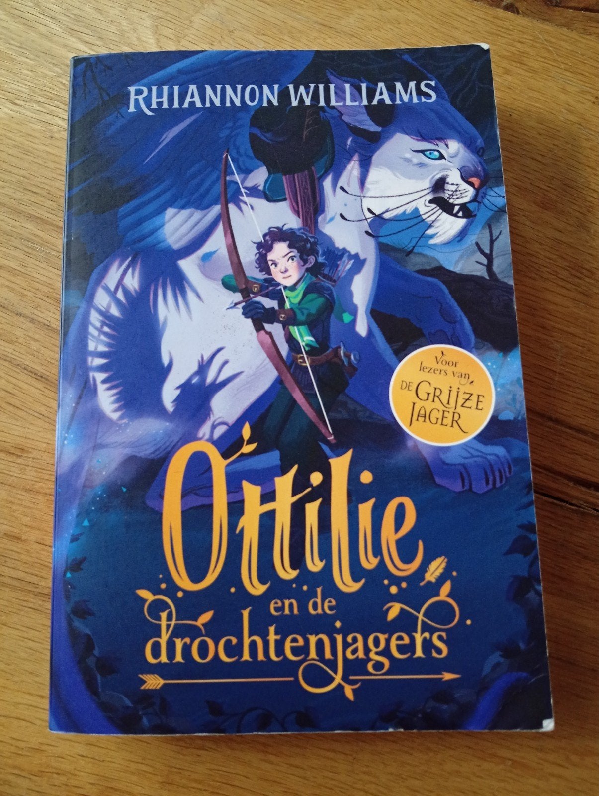 Ottilie en de Drochtenjagers - Rhiannon Williams, Gelezen, Ophalen of Verzenden, Rhiannon Williams, Fictie