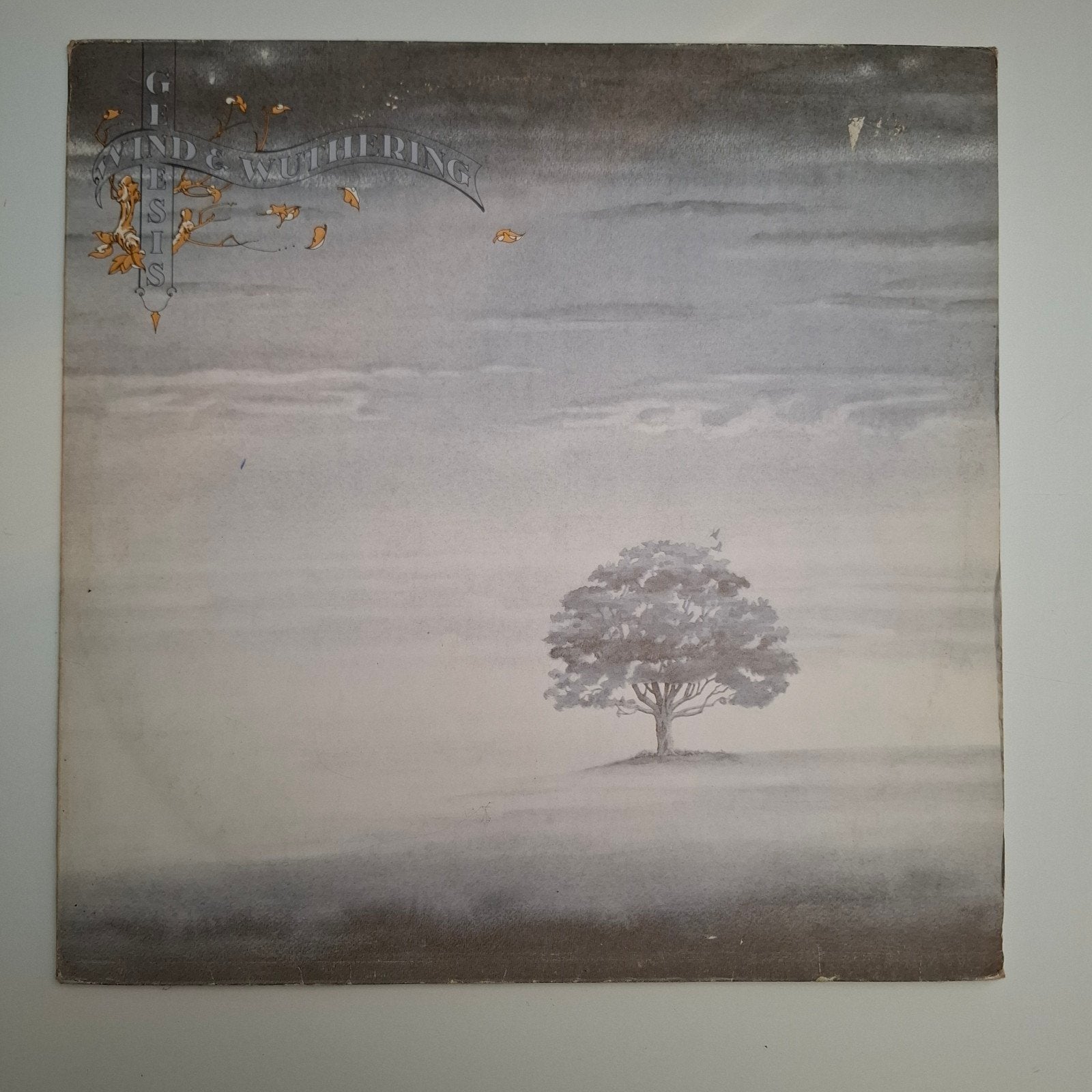 Genesis - Wind and Wuthering LP (1976), Ophalen, Gebruikt, 12 inch