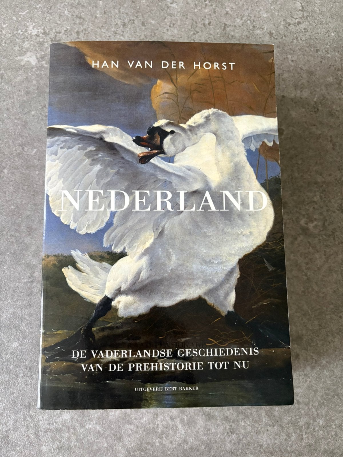 Han van der Horst - Nederland: de vaderlandse geschiedenis, Boeken, Ophalen of Verzenden, Zo goed als nieuw