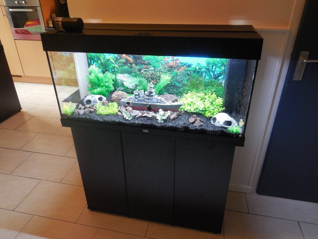mooi en compleet aquarium/kastcombinatie juwel rio 180 led, Zo goed als nieuw, Leeg aquarium, Juwel, Ophalen
