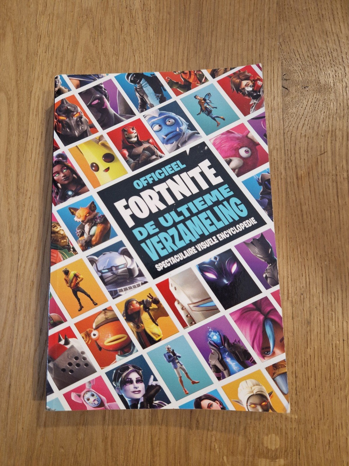 Fortnite: De Ultieme Visuele Encyclopedie - Epic Games, Ophalen of Verzenden, Gelezen, Epic games