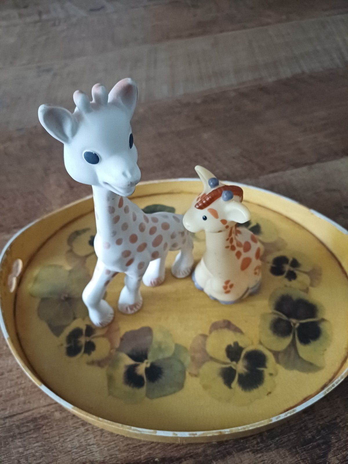 Sophie de Giraf en Fisher-Price, Ophalen of Verzenden, Gebruikt, Overige typen