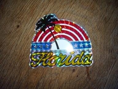 Amerika Florida holografische sticker donkerblauw 8 x 7 cm, Ophalen of Verzenden, Zo goed als nieuw, Bedrijf of Vereniging