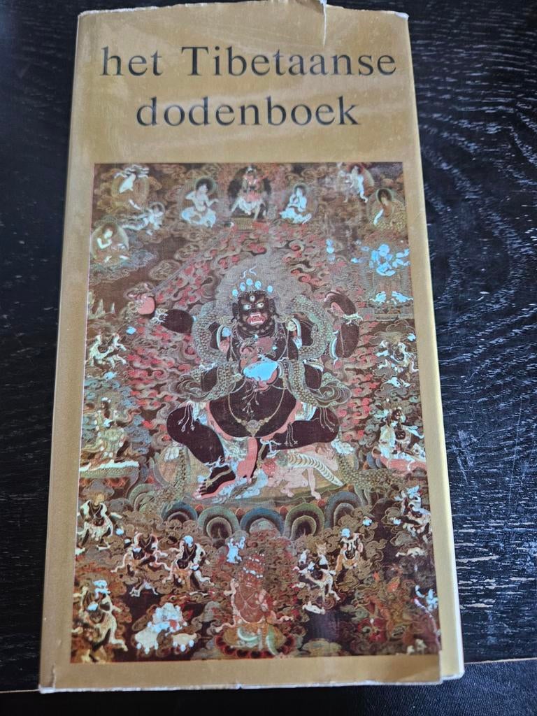Het Tibetaanse dodenboek, Boeken, Esoterie en Spiritualiteit, Ophalen of Verzenden