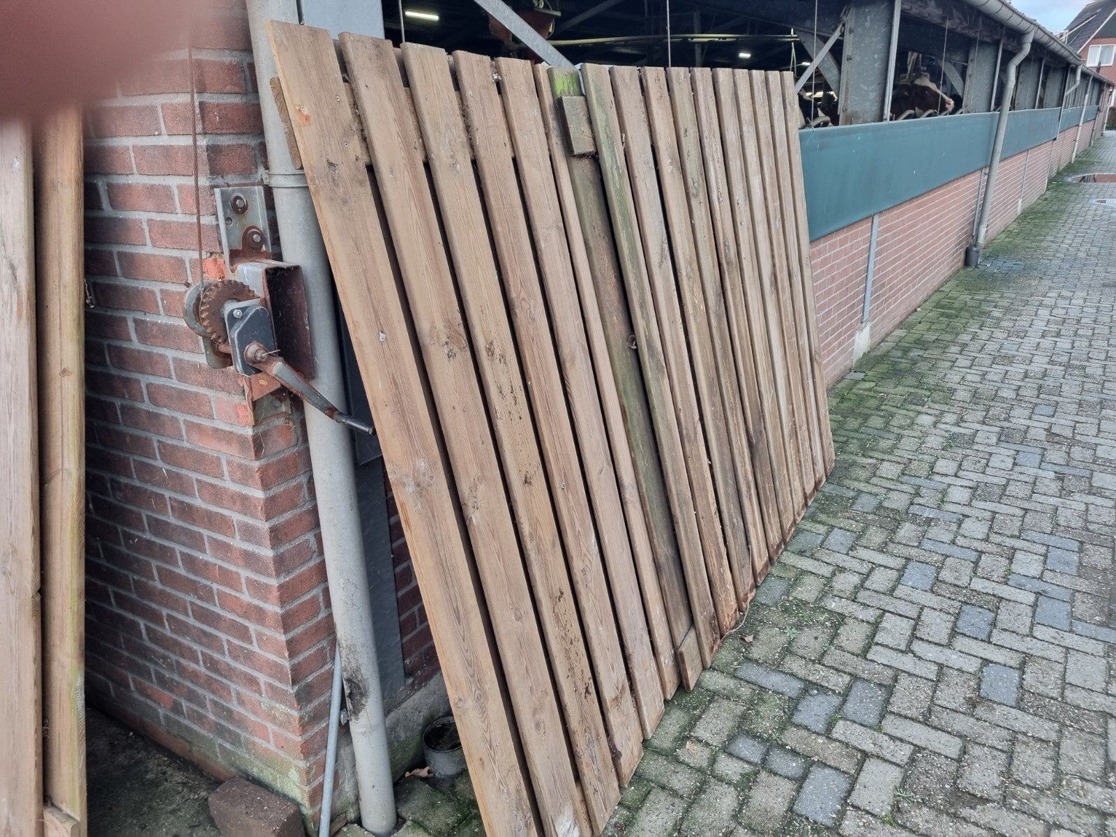 Schuttingdelen met betonpalen en betonplaten, Tuin en Terras, Ophalen, Gebruikt, Hout, 1 tot 2 meter