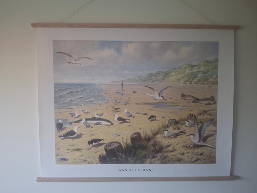 Schoolplaat aan het strand. Perfecte staat, Ophalen of Verzenden