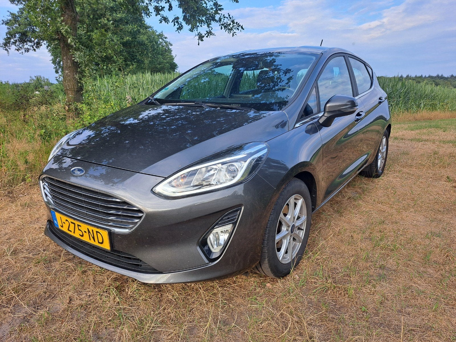 Mooie Ford Fiesta Titanium 1.0 95 pk 2020 114dkm!!, Voorwielaandrijving, Stof, 580 kg, 1064 kg