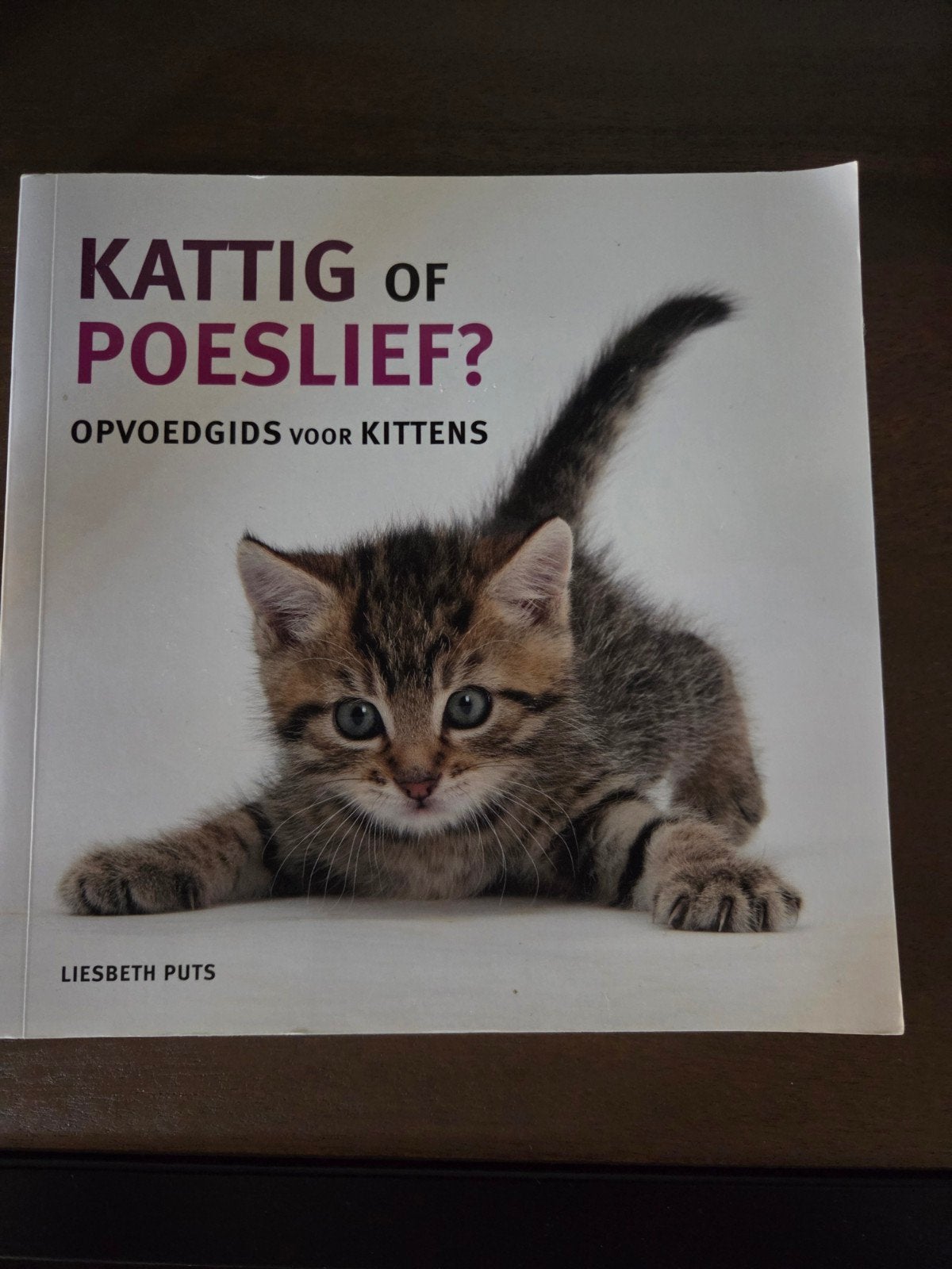 Kattig of Poeslief? Opvoedgids voor Kittens - Liesbeth Puts, Boeken, Dieren en Huisdieren, Ophalen of Verzenden, Zo goed als nieuw