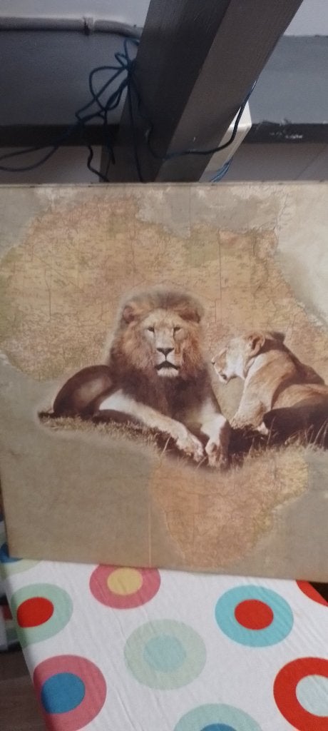 Set van 2 Afrikaanse Dieren Canvas Schilderijen, Huis en Inrichting, Gebruikt, Ophalen of Verzenden, Schilderij, 5 – 50