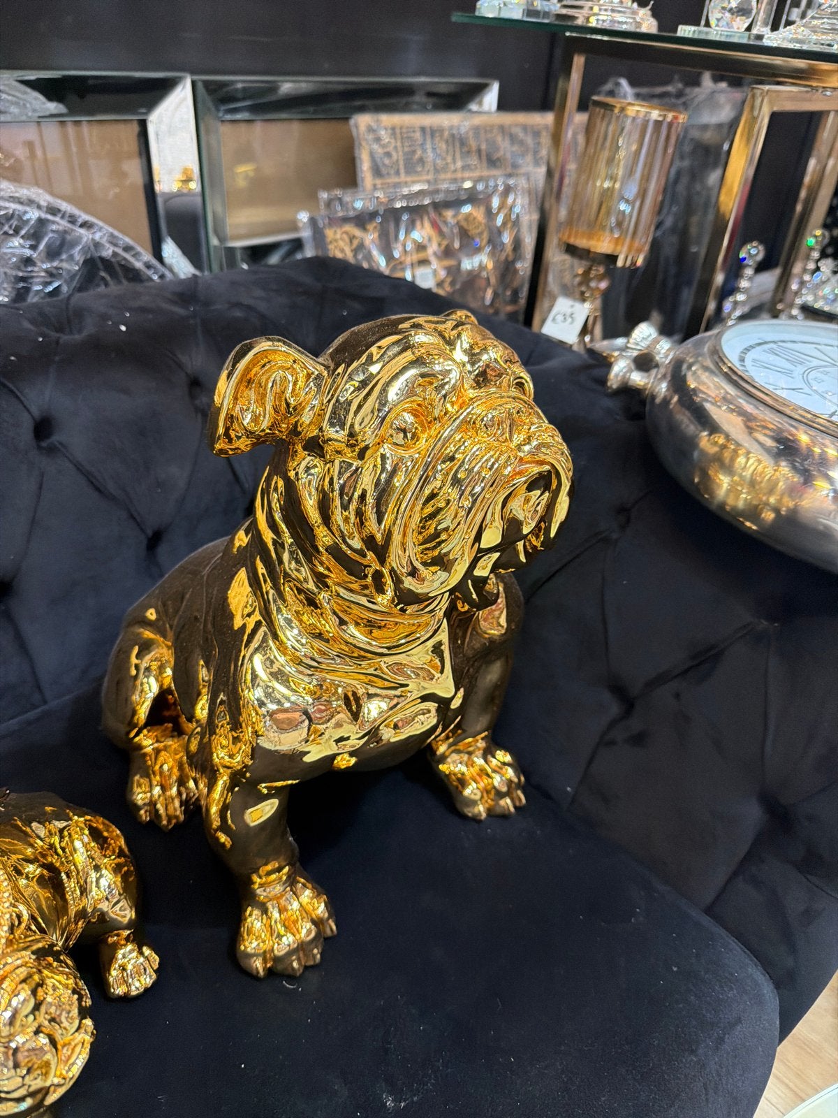 Gouden Bulldog Beeld - Decoratief en Uniek, Overige materialen, Ophalen of Verzenden, Zo goed als nieuw, Goud