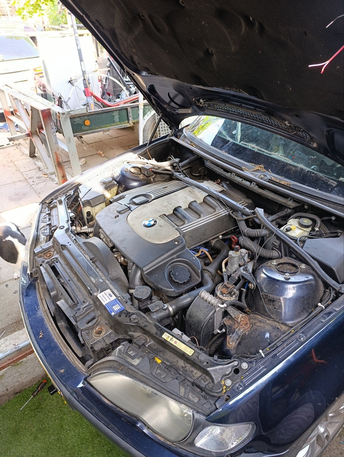 BMW E46 330xd M57D306 Motorblok - Top Conditie, Auto-onderdelen, Ophalen, Gebruikt, BMW