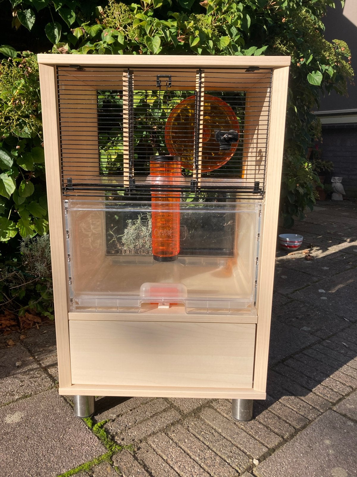 hamsterkooi in kastje, Dieren en Toebehoren, Ophalen, Minder dan 75 cm, Kooi, Minder dan 60 cm