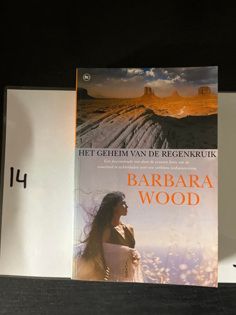 Het Geheim van de Regenkruik - Barbara Wood, Boeken, Romans, Ophalen of Verzenden, Zo goed als nieuw, Amerika