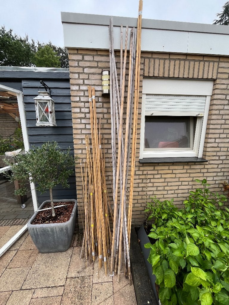 Bamboe stokken, Ophalen, Zo goed als nieuw, 180 tot 250 cm, Overige typen