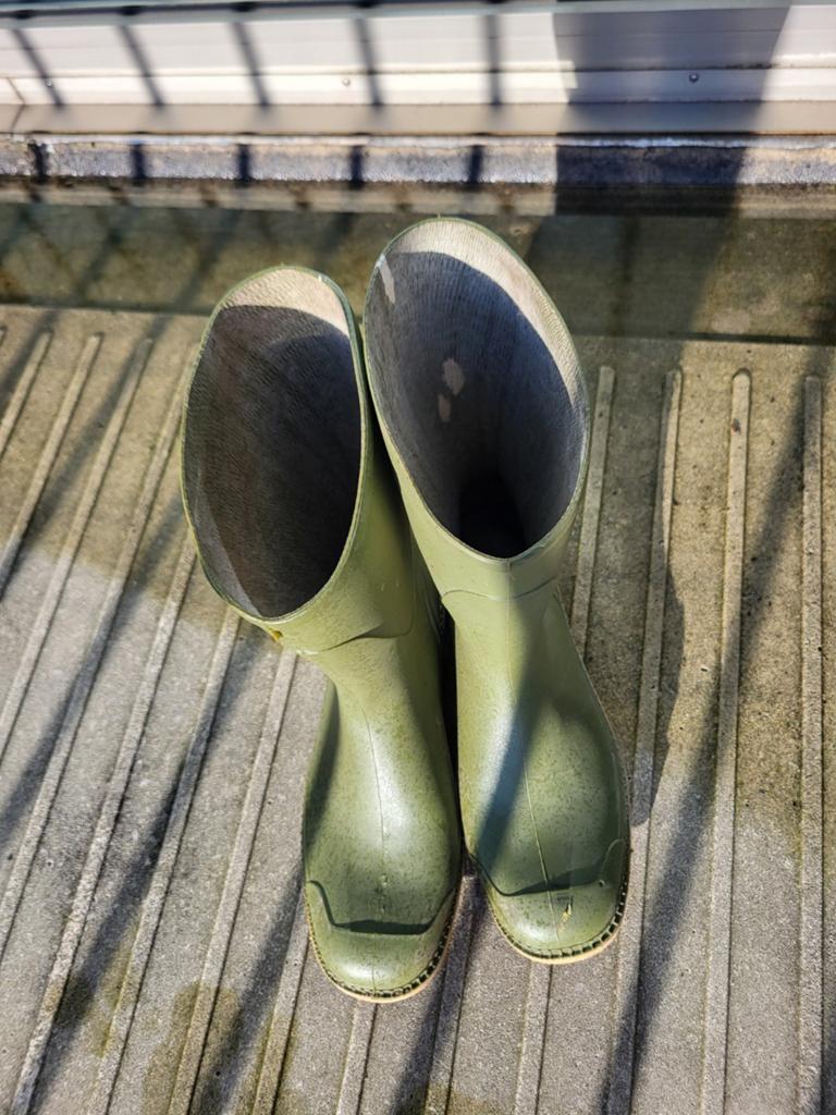 Waterdichte regenlaarzen, maat 44, Ophalen, Zo goed als nieuw, Regenjas