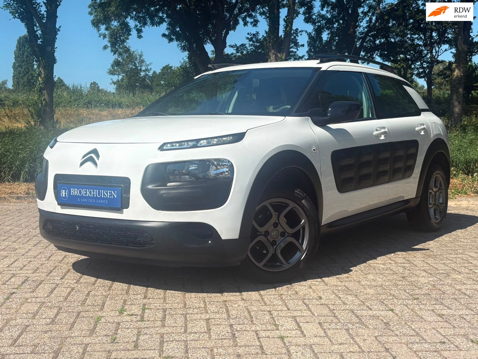 Citroen C4 Cactus 1.2 PureTech Business Camera / Cruise Cont, Auto's, Citroën, Bedrijf, Te koop, C4 Cactus, ABS, Achteruitrijcamera