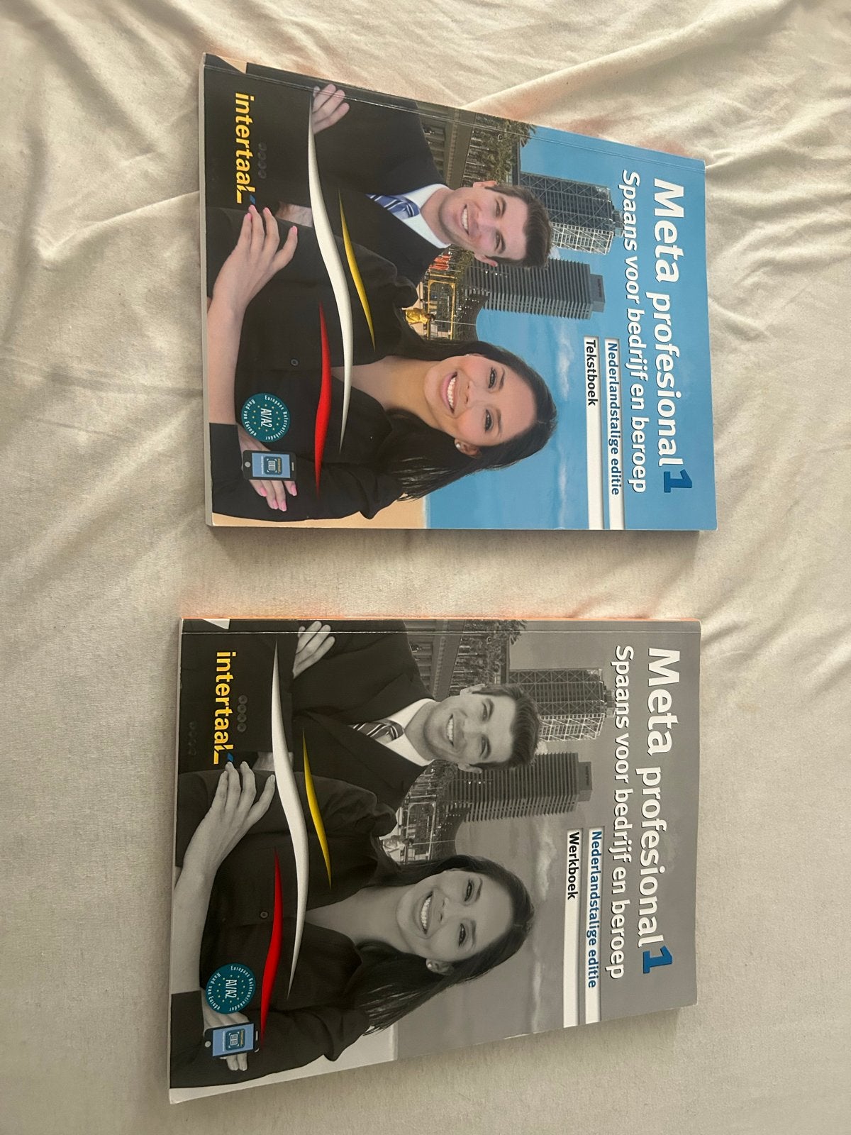 MBO Boeken: Spaans (tekstboek & werkboek) en Maatschappij, Boeken, Ophalen of Verzenden, Gelezen, MBO