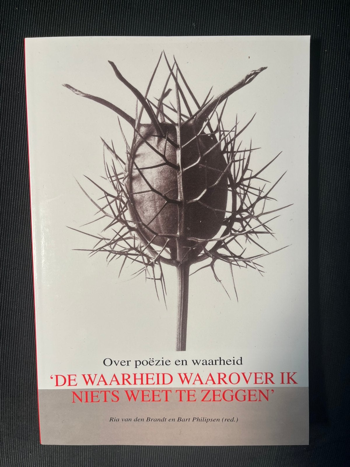 De Waarheid Waarover Ik Niets Weet Te Zeggen, Ophalen of Verzenden, Zo goed als nieuw