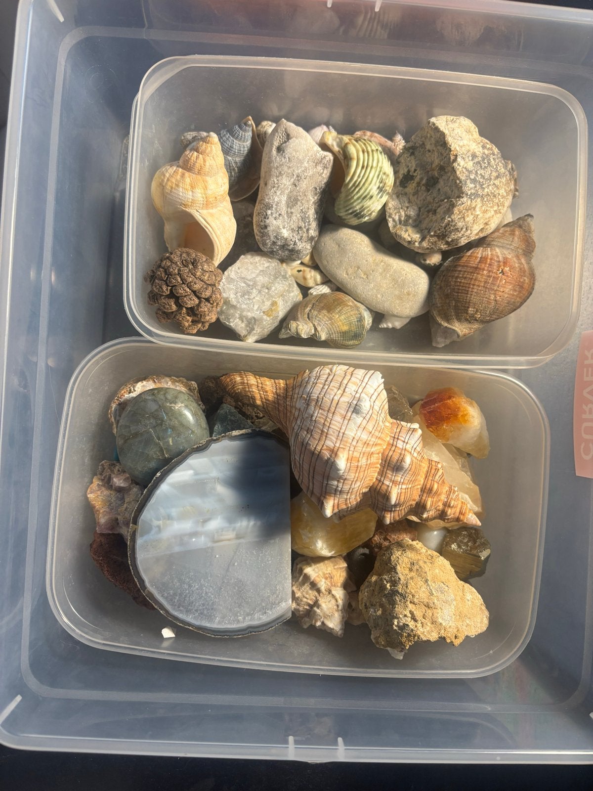 Verzameling van mineralen, schelpen en kristallen, Ophalen of Verzenden, Mineraal