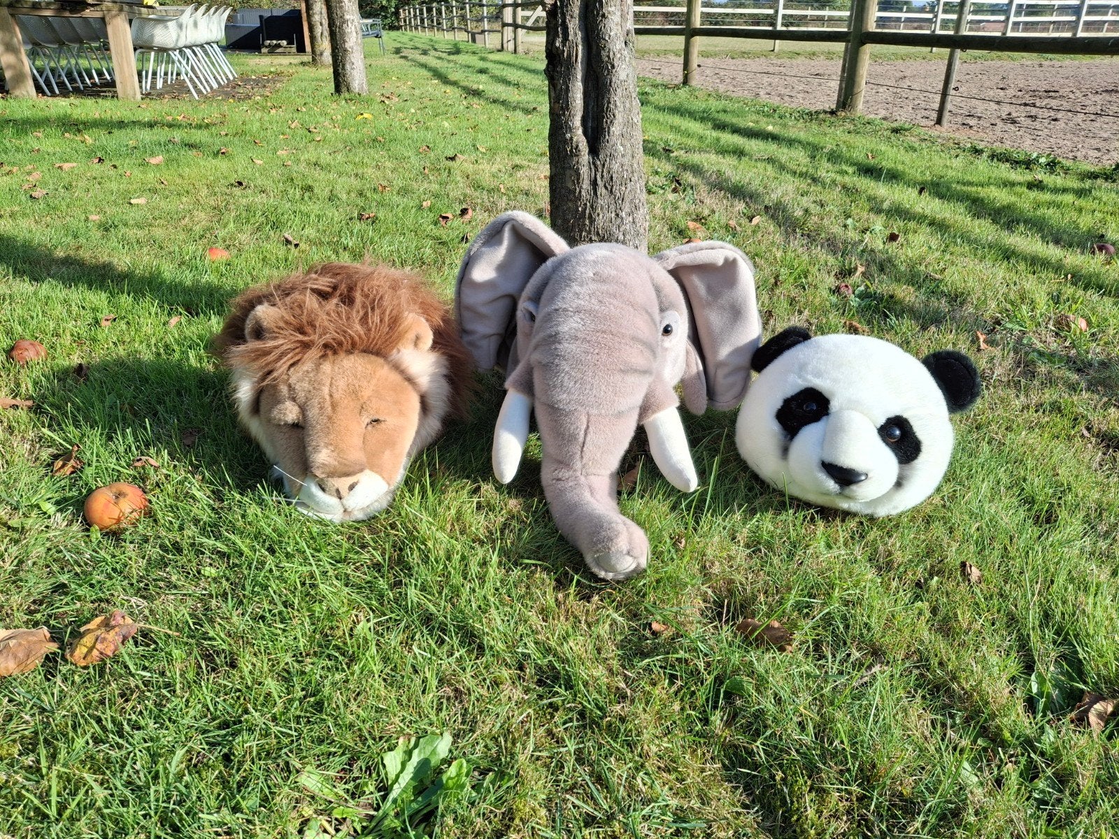 pluche dierenhoofden, Ophalen of Verzenden, Zo goed als nieuw, Wanddecoratie