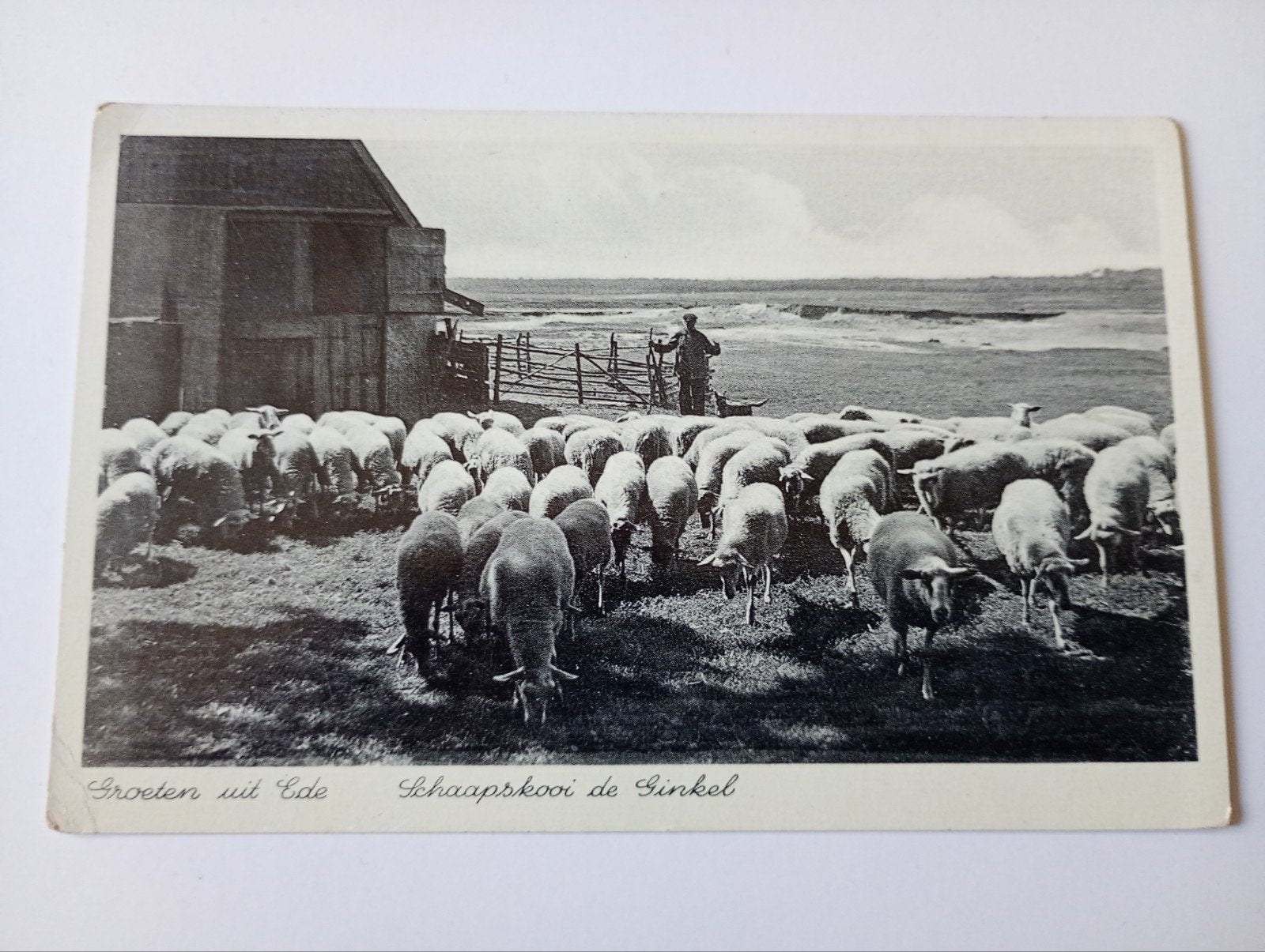 Ede Schaapskooi De Ginkel 1939, Ophalen of Verzenden, 1920 tot 1940, Gelopen, Gelderland