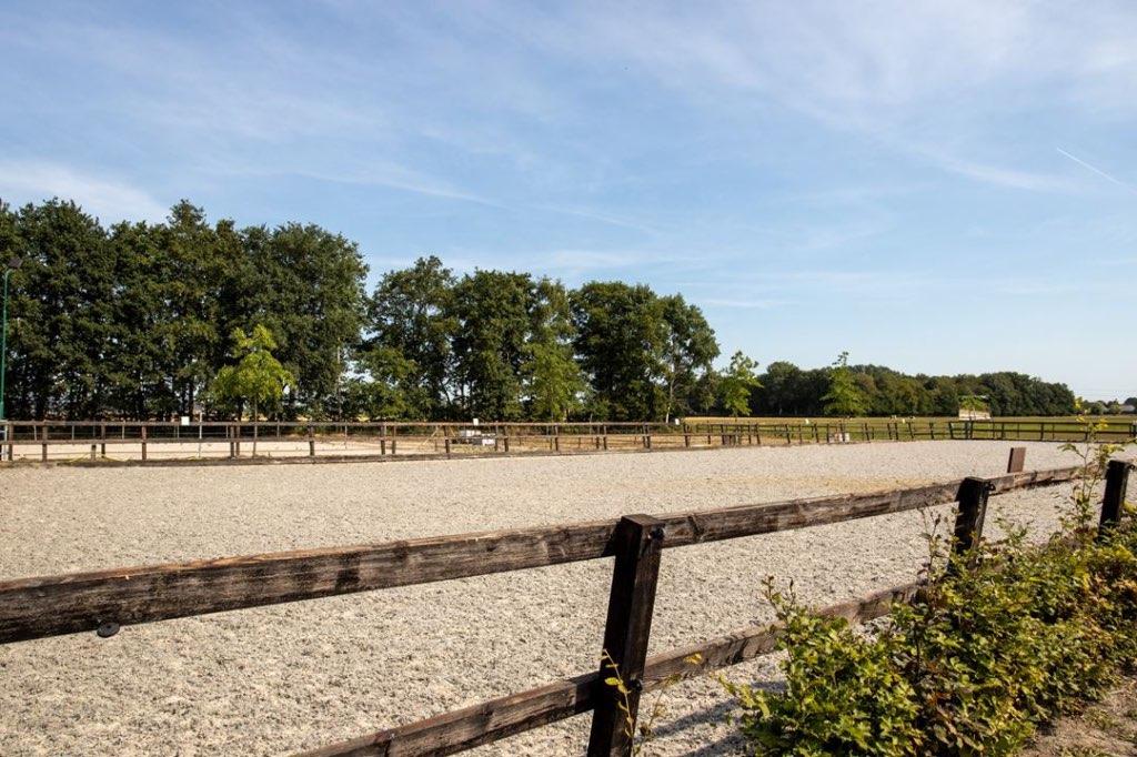 Stalling en weidegang, Dieren en Toebehoren, Stalling en Weidegang, Stalling, 2 of 3 paarden of pony's
