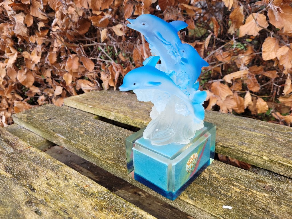 schitterende blauw dolfijnen /dolfijn beeld, Ophalen of Verzenden, Zo goed als nieuw, Mens