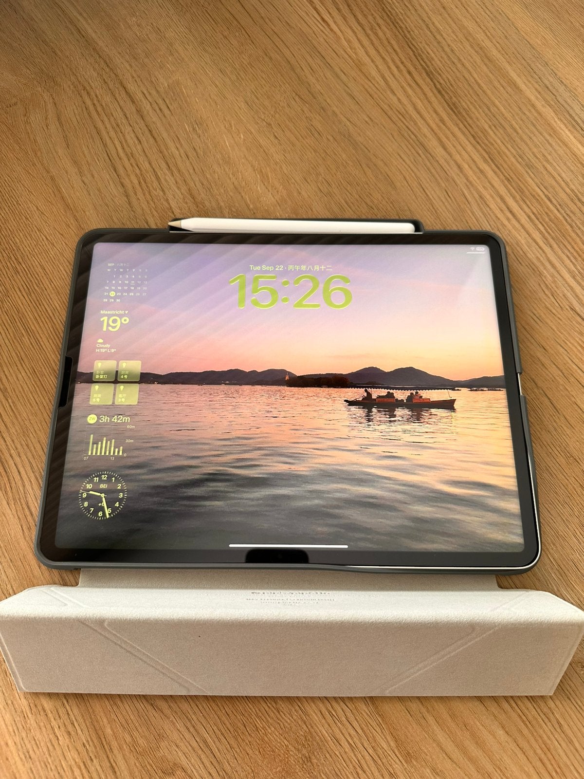 iPad Pro 12.9 (5th Gen）, Computers en Software, Ophalen, 12 inch, Zo goed als nieuw, Apple iPad Pro