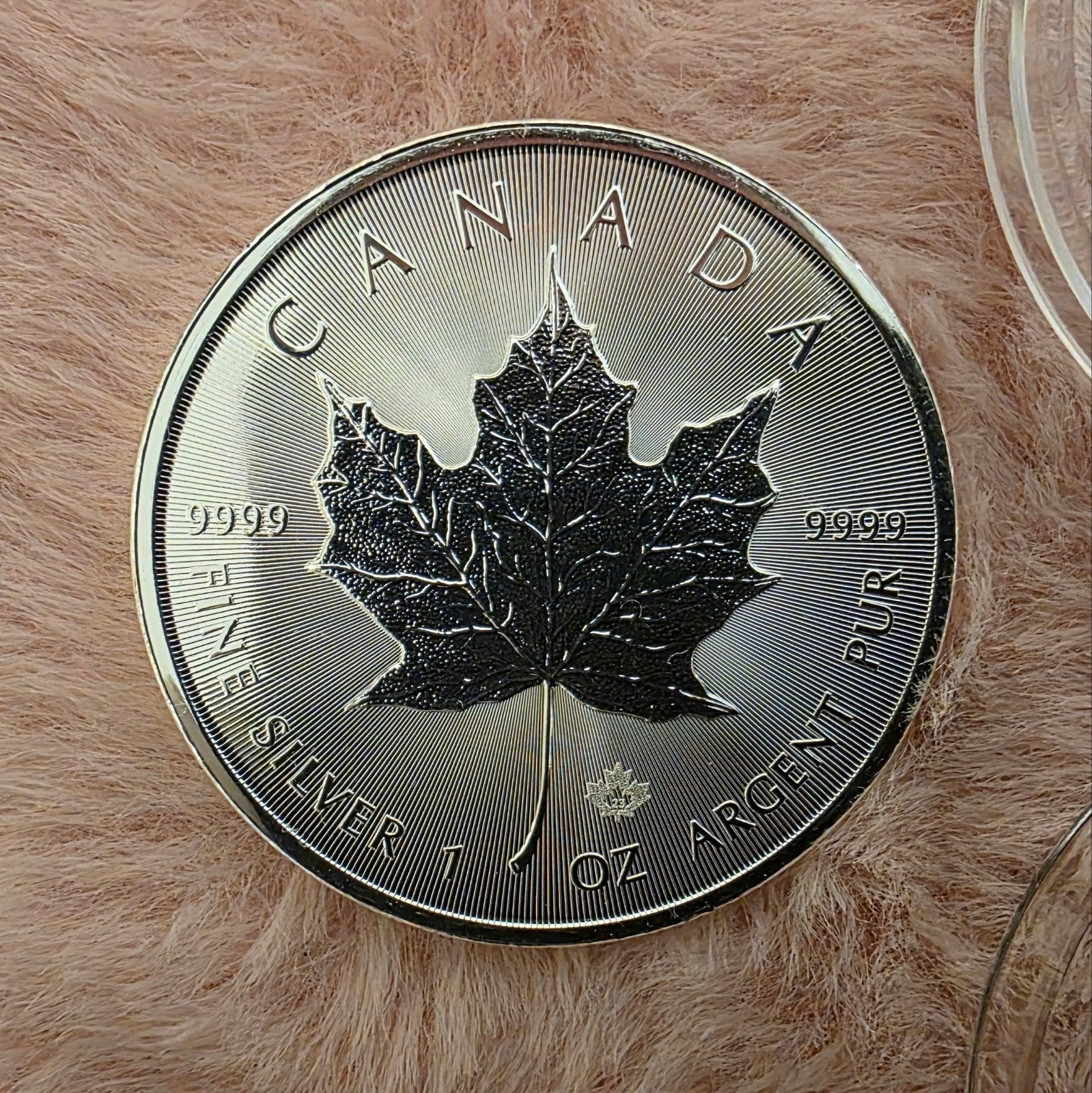 Canadian Maple Leaf 2022 1 oz zilver | Elizabeth Memorial, Postzegels en Munten, Edelmetalen en Baren, Ophalen of Verzenden, Zilver