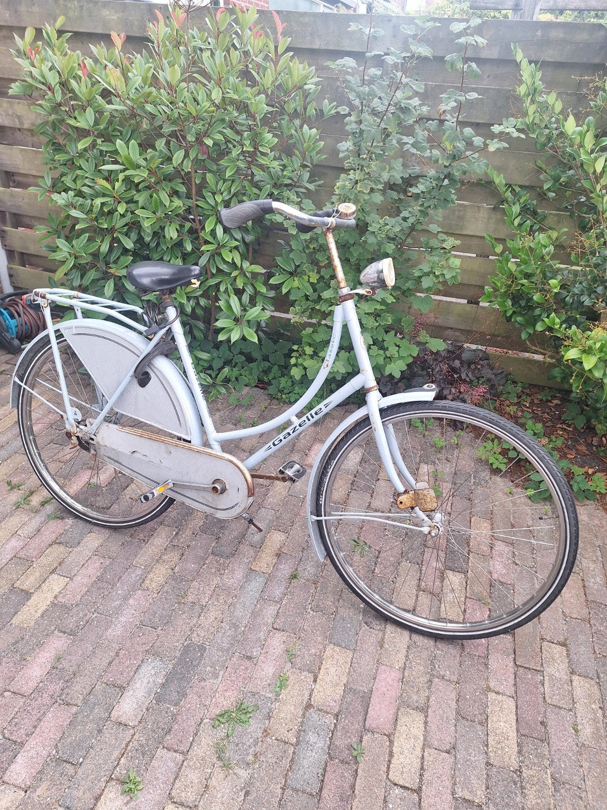 Gazelle damesfiets opoefiets, Fietsen en Brommers, Fietsen | Dames | Damesfietsen, Ophalen, Terugtraprem, Gazelle, 53 tot 56 cm