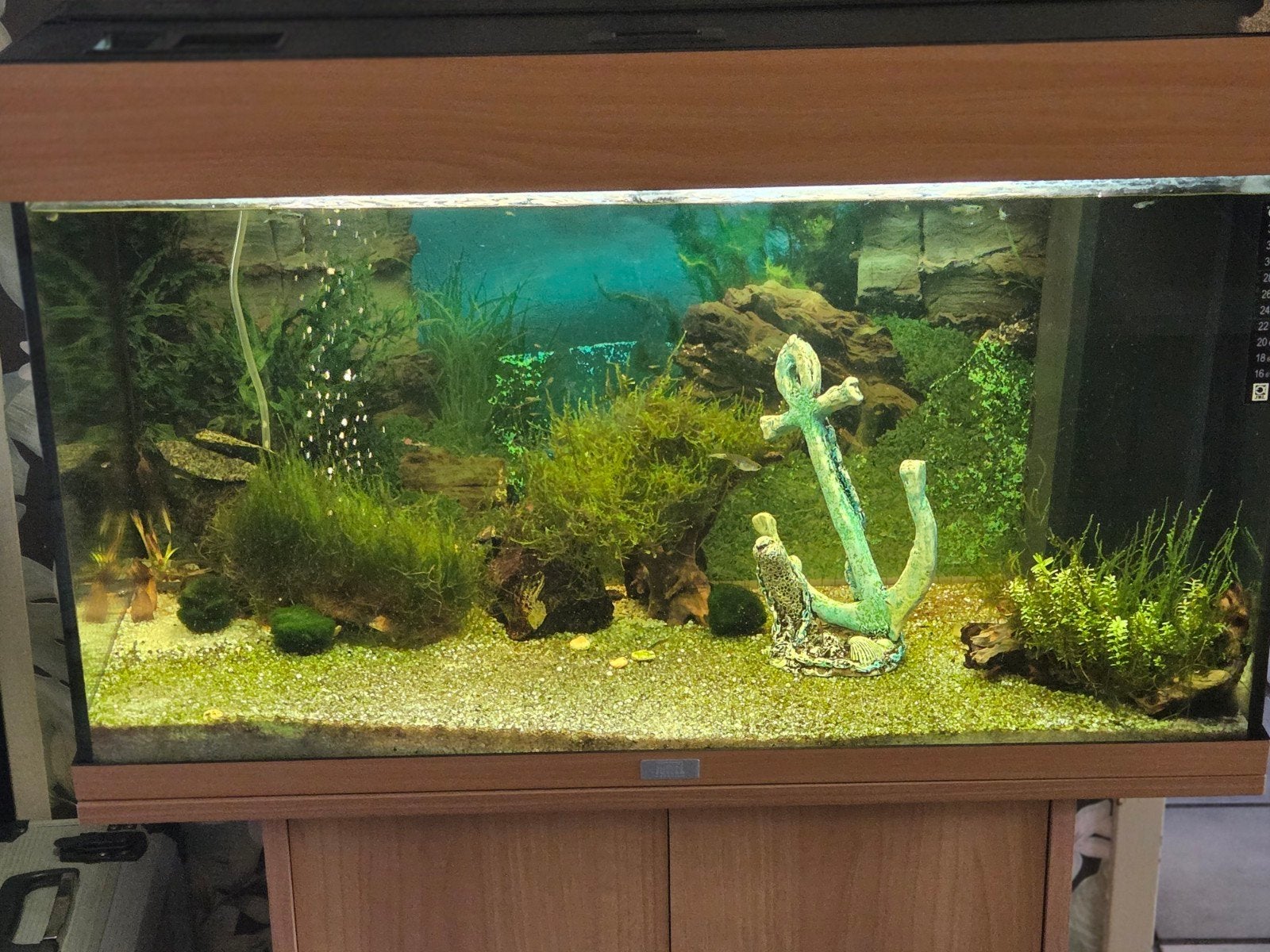 Juwel 120+Kast, Ophalen, Gebruikt, Leeg aquarium