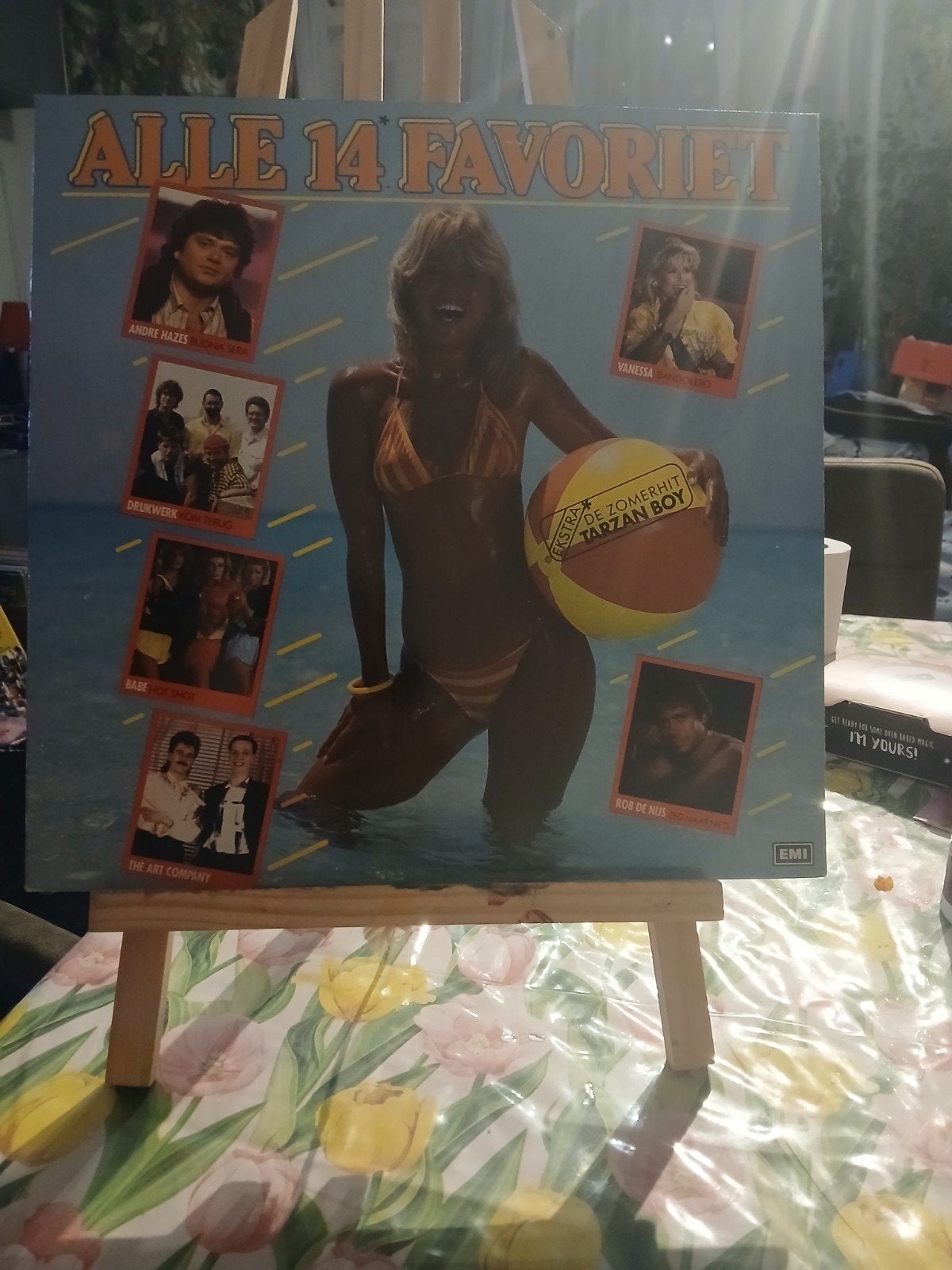 Alle 14 Favoriet - Pop LP met André Hazes en meer, Ophalen of Verzenden, Gebruikt, 12 inch, LP