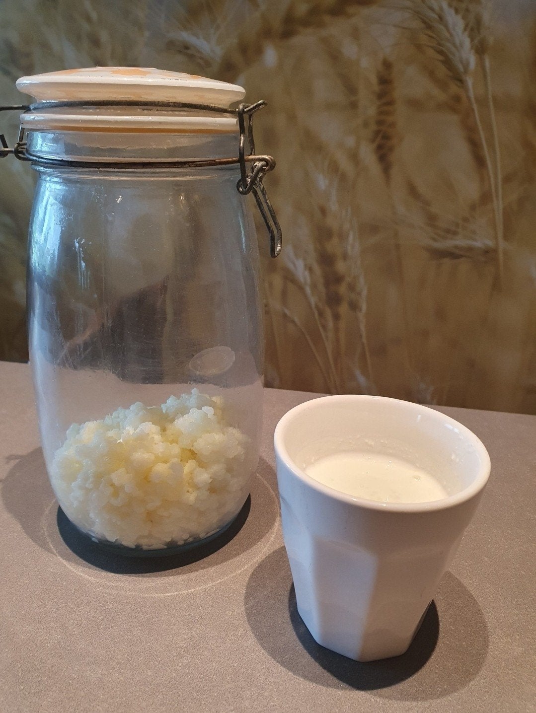 Melkkefir, Diversen, Levensmiddelen, Ophalen of Verzenden