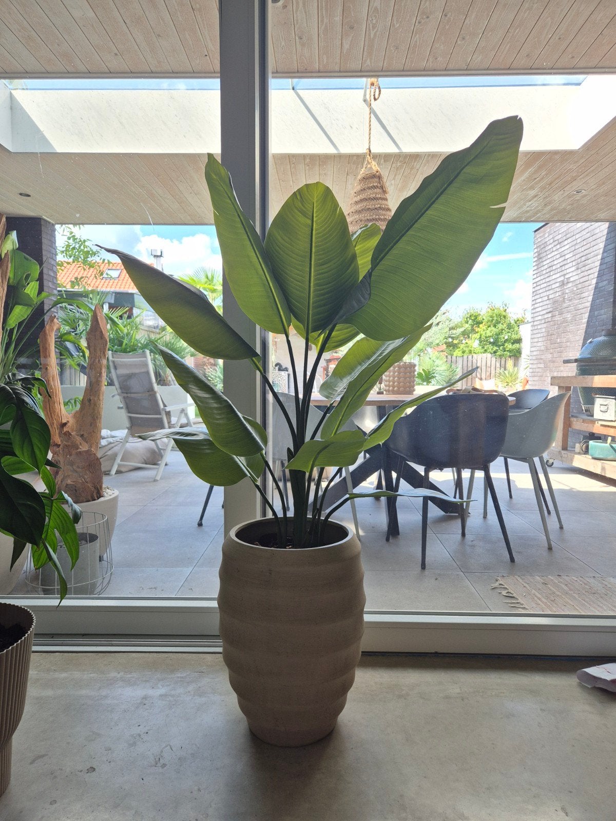 Kunst Strelitzia in beige hoge vaas, 140-145 cm hoog, Binnen, Beige, Onderhoudsvrij, Kunstplant