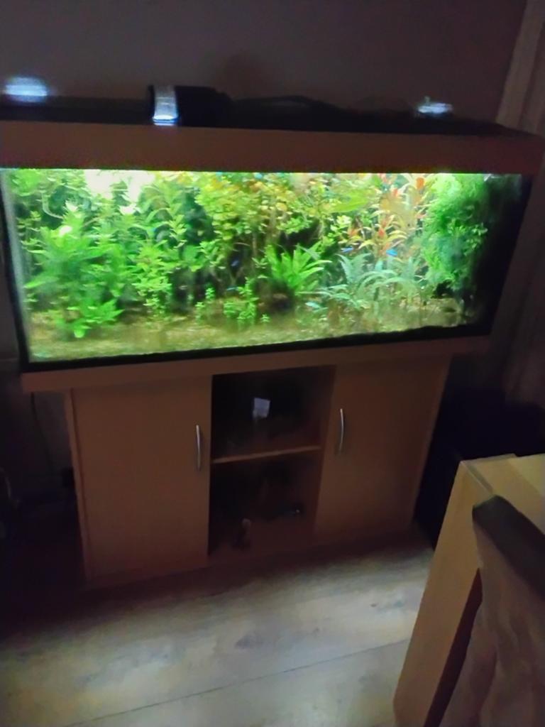 aquarium 120cm juwel, Ophalen, Gebruikt, Inclusief planten, Juwel