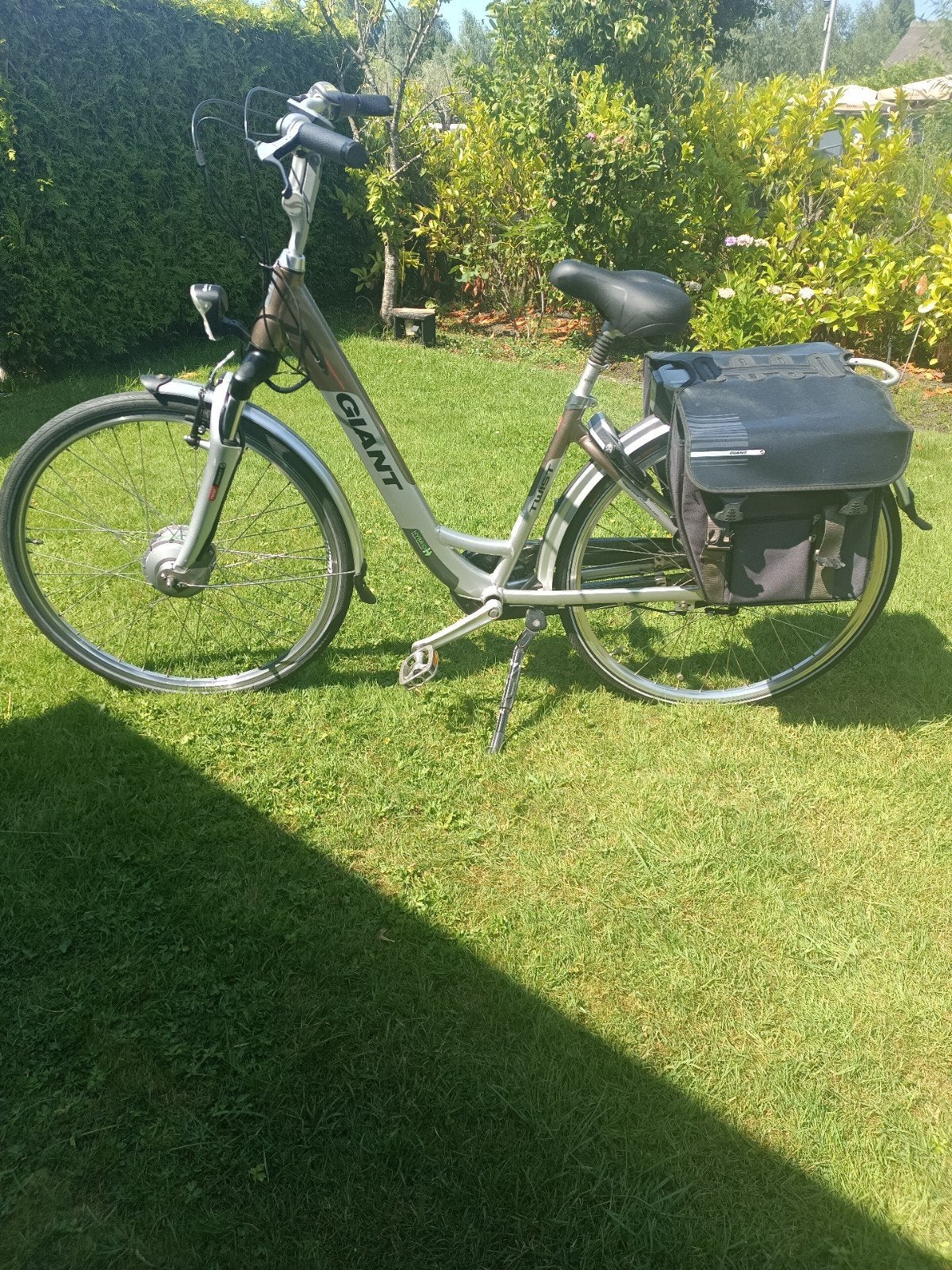 Mooie Giant Twist Go Double dames e bike., 51 tot 55 cm, Ophalen, Gebruikt, Giant