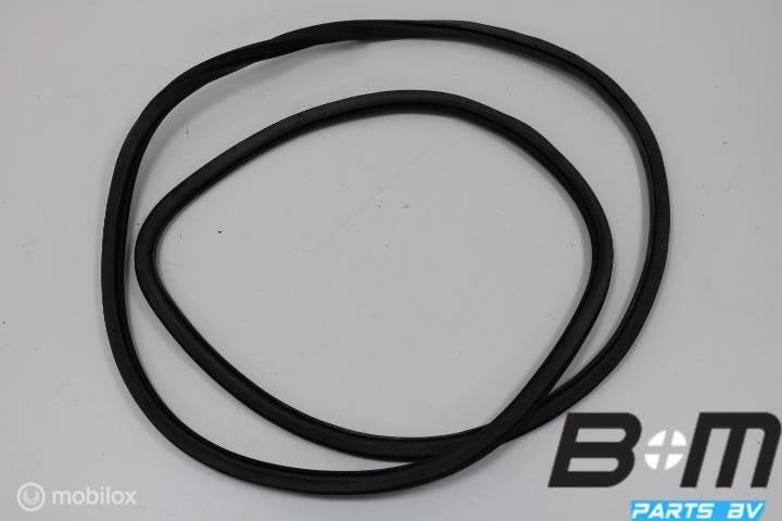 Portierrubber carrosseriezijde LV of RV 8R0831721B, Gebruikt
