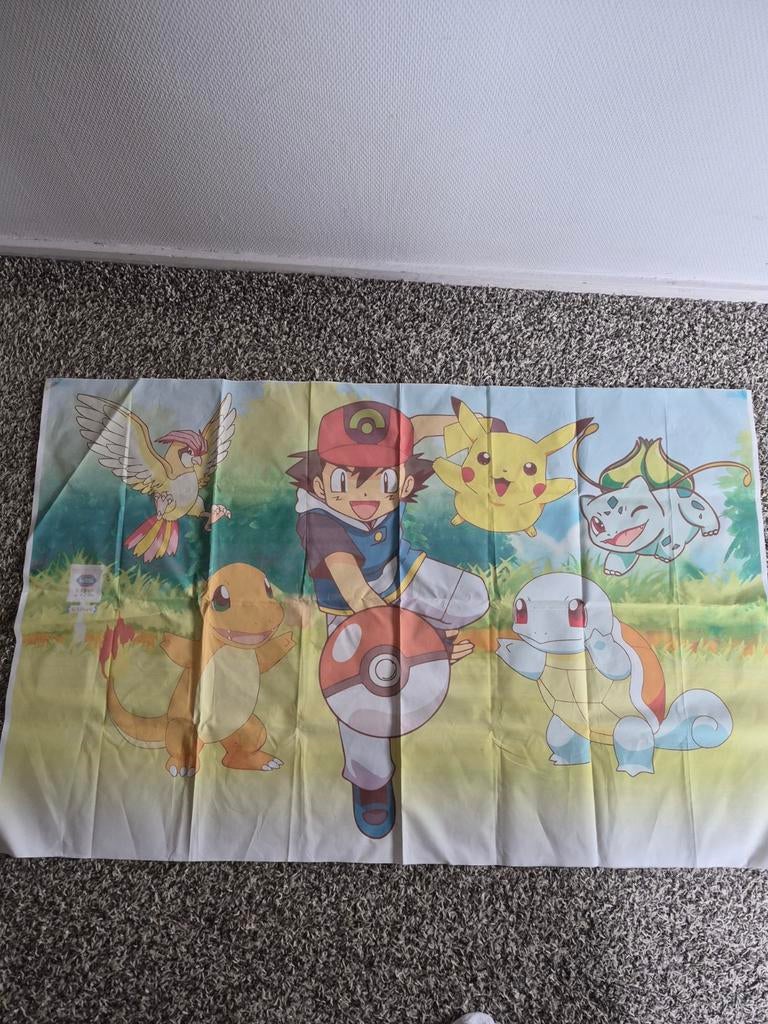 Pokémon Ash Pikachu wanddoek 126x79cm, Ophalen of Verzenden, Gebruikt, Jongen of Meisje
