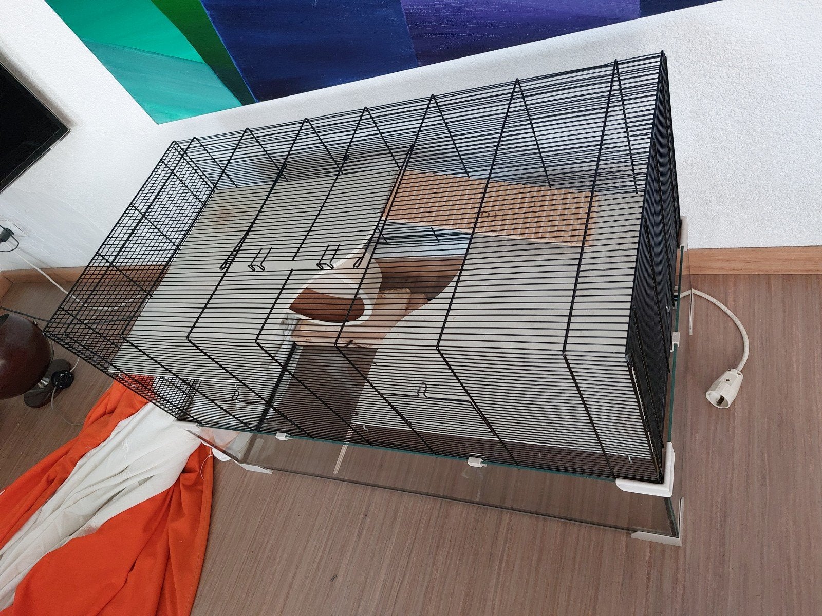 Hamster kooi, Dieren en Toebehoren, Knaagdieren en Konijnen | Hokken en Kooien, Ophalen, Kooi, Minder dan 75 cm, Zo goed als nieuw