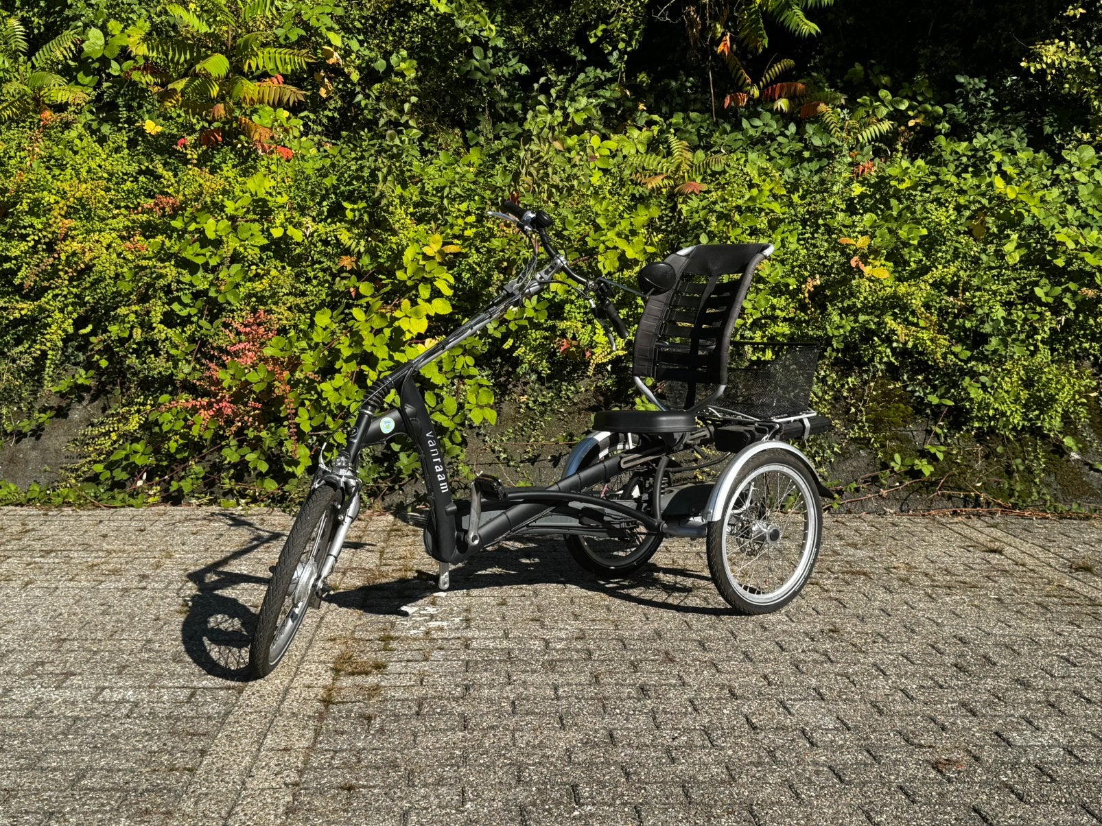 Van Raam Easy Rider – Elektrische driewielfiets, Fietsen en Brommers, Ophalen, Gebruikt