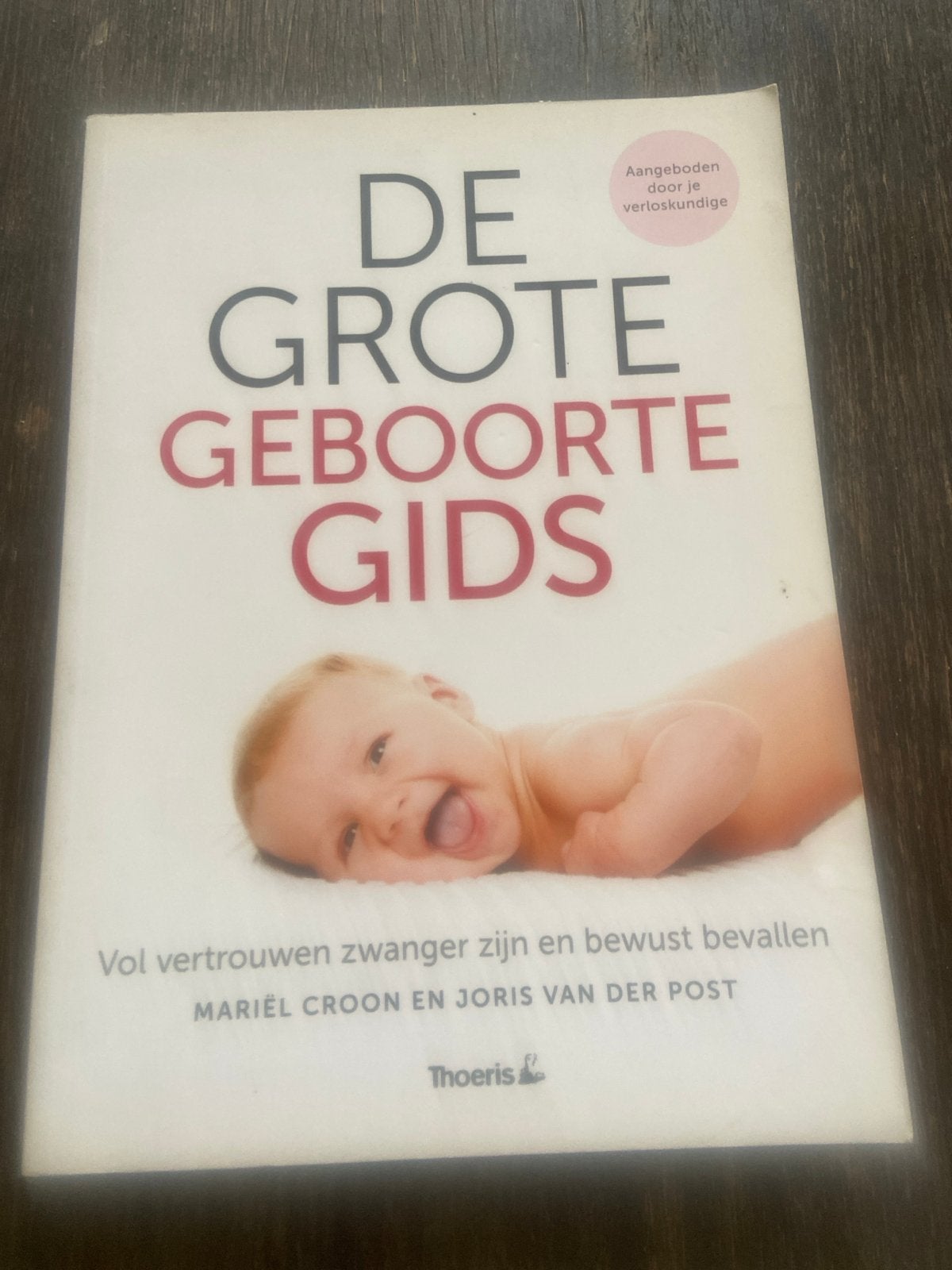 De Grote Geboorte Gids - Zwangerschap en Bevalling, Boeken, Ophalen of Verzenden, Zo goed als nieuw, Zwangerschap en Bevalling