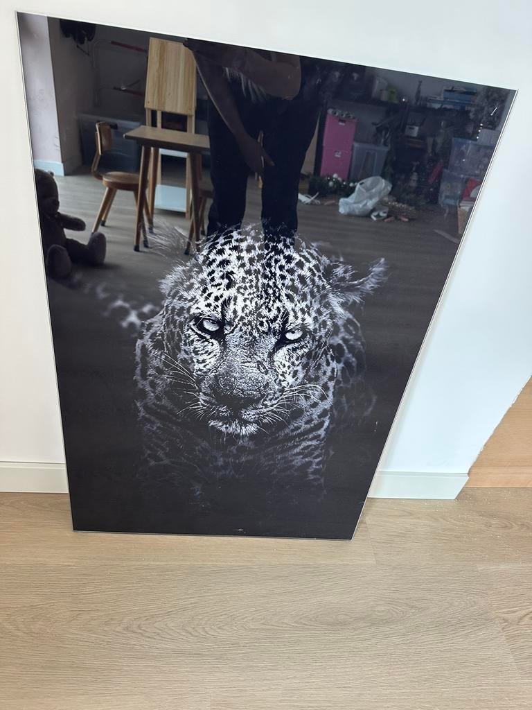 Schilderij panter plexiglas 70x50, Huis en Inrichting, Woonaccessoires | Schilderijen, Tekeningen en Foto's, Ophalen, Zo goed als nieuw
