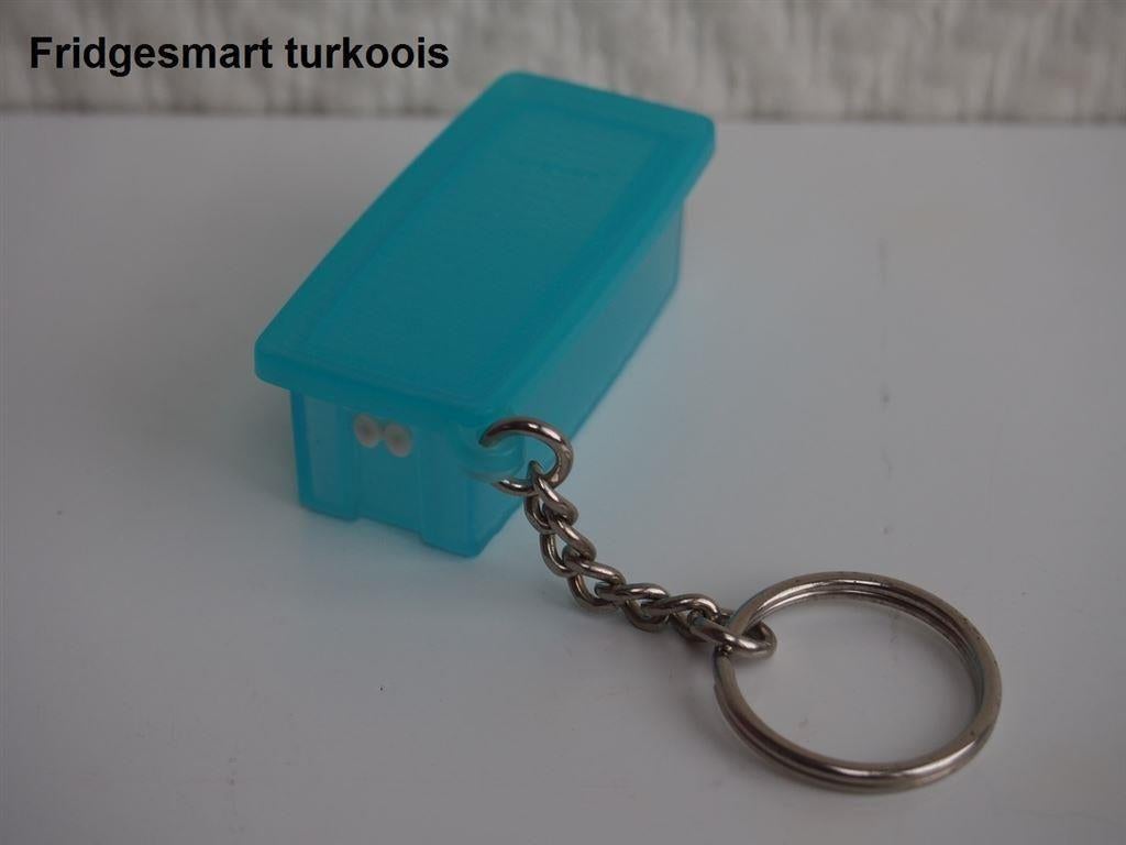 Fridgesmart sleutelhanger en meer Tupperware, Ophalen of Verzenden, Nieuw, Blauw, Overige typen