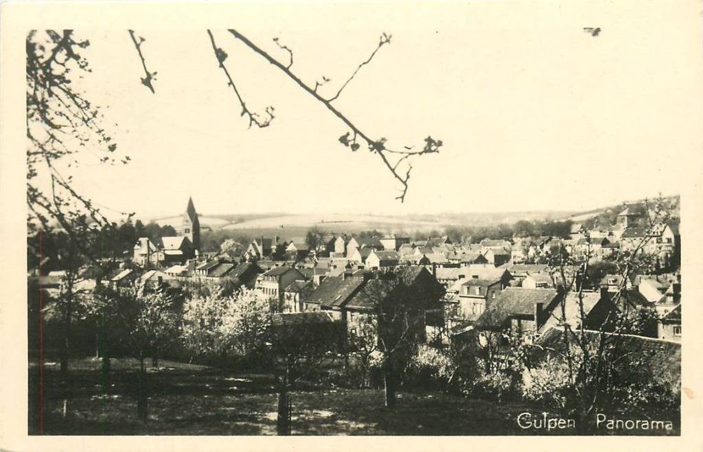 388-484-013 Gulpen Panorama, Verzenden, Voor 1920, Limburg