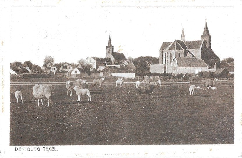 AK Texel, Den Burg - Panorama met Kerken, Ophalen of Verzenden, 1920 tot 1940, Gelopen, Waddeneilanden