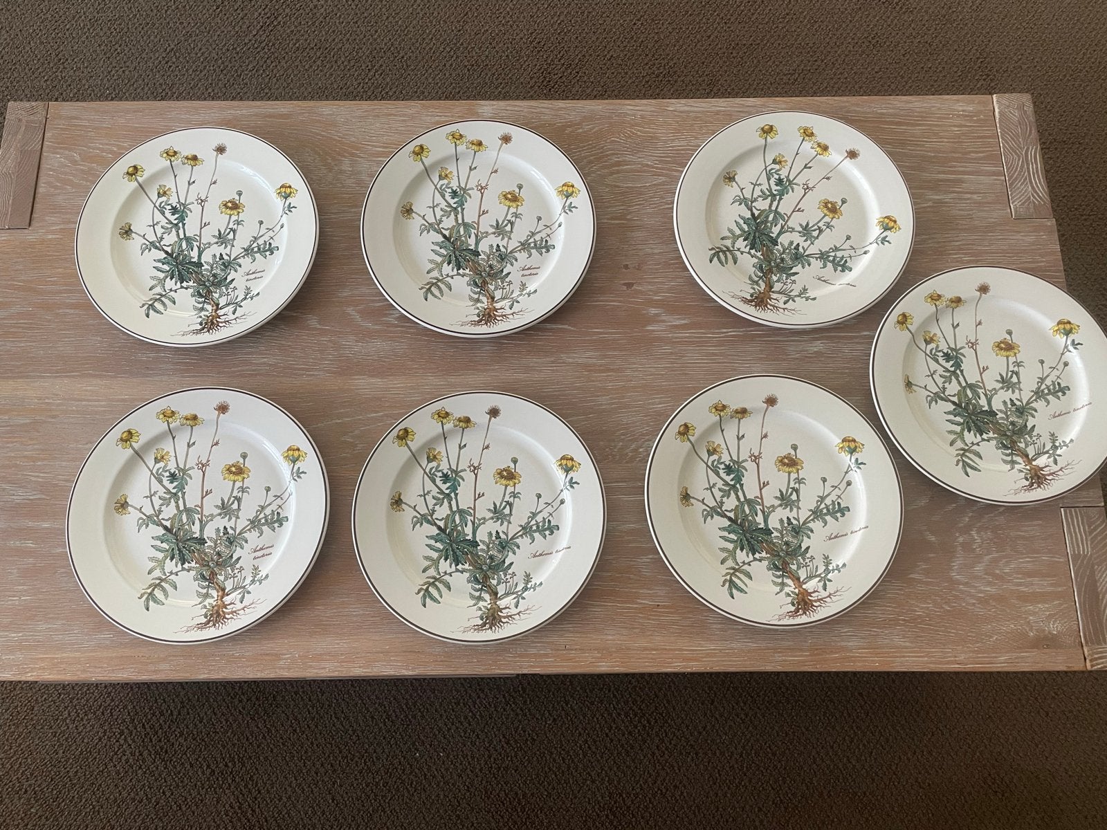 Villeroy & Boch Botanica dinerborden - 24 cm, Gebruikt, Ophalen of Verzenden, Bord(en), Porselein